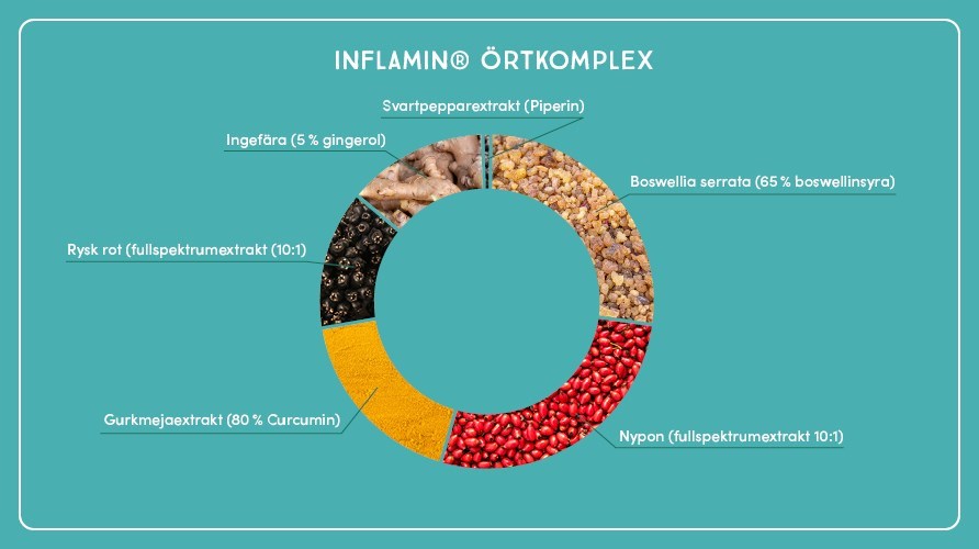 Illustration over ekstrakter af planter og urter i Inflamin Premium.